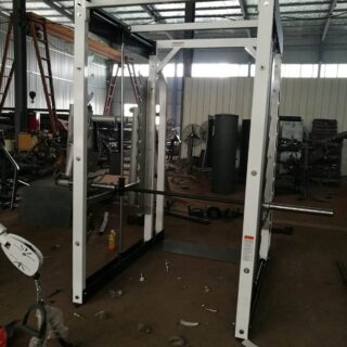 pr301b freedom smith machine