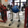 lf3519 leg raise with bosu ball
