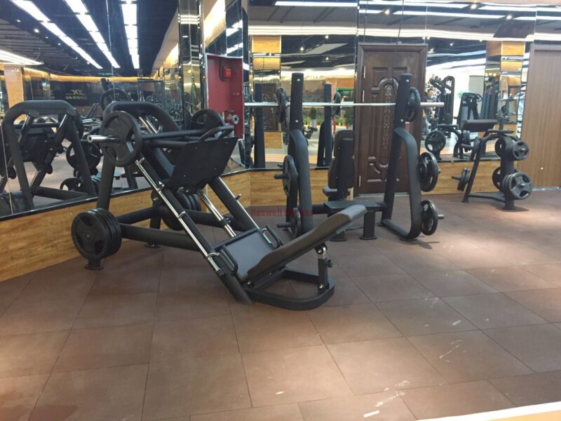 LN1503 LEG PRESS 45 DEGREE