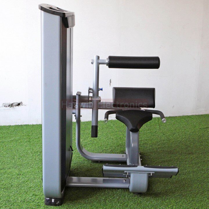 tc1302 seated back extension machine