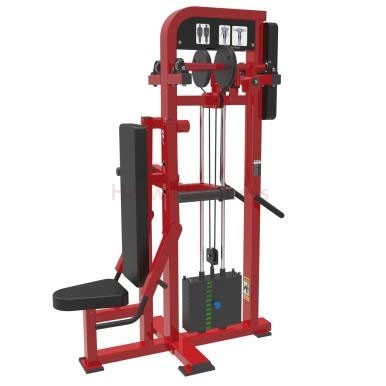 NH-111-3C Shoulder raise (seated and standing)Gym Machine from China Haswell