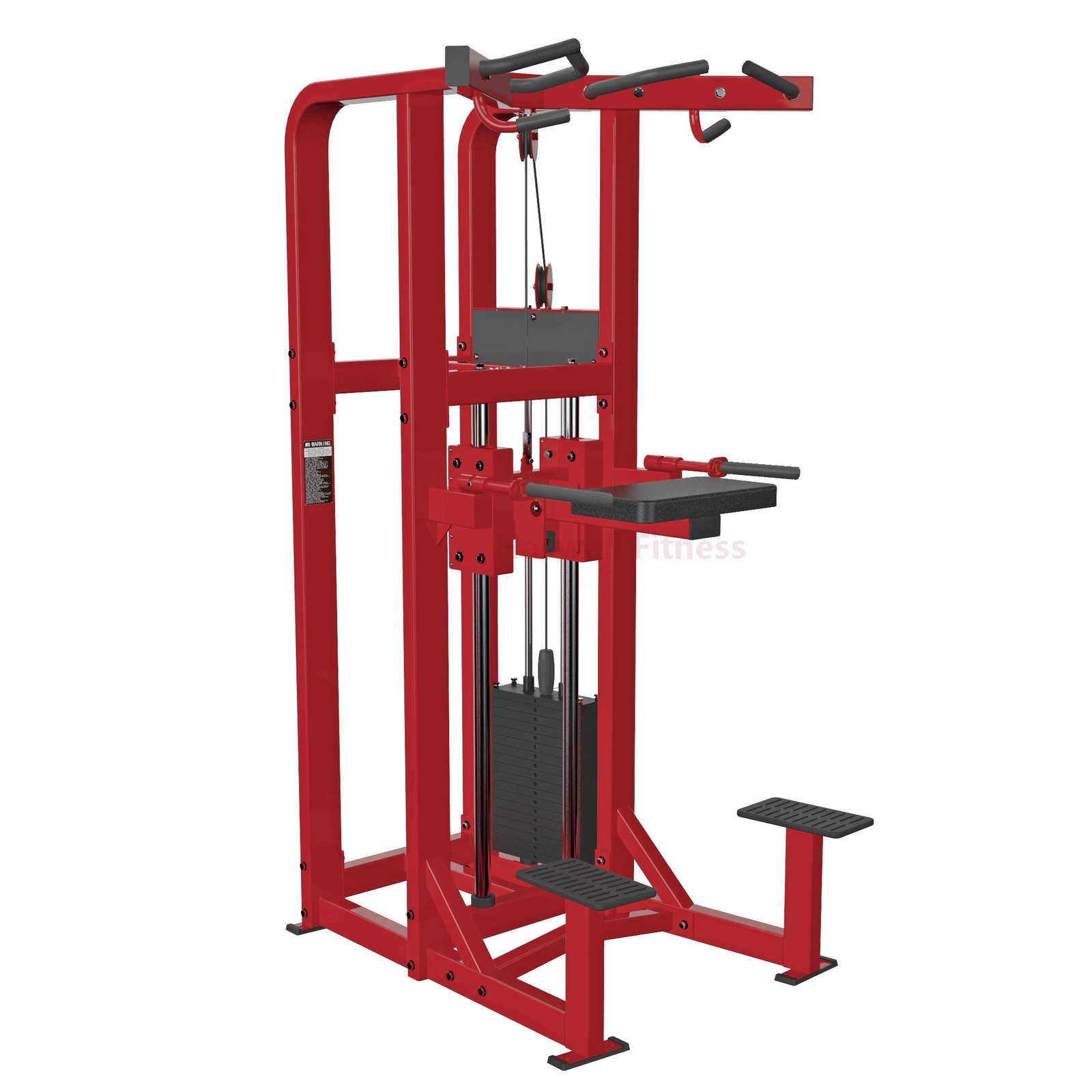 NH-114-3A Assist Dip Chin Gym Machine from China Haswell