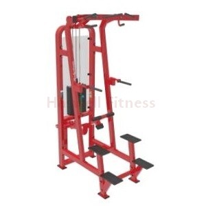 NH-114-3B standing Assist Dip Chin
Gym Machine from China Haswell