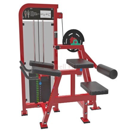 NH-122-2B Glute ExtensionGym Machine from China Haswell