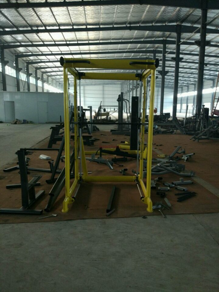 1655076010 pr301c 3d freedom smith machine 04a