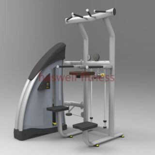 1655076229 mt3111 asslst dip chin haswell commercial gym equipment