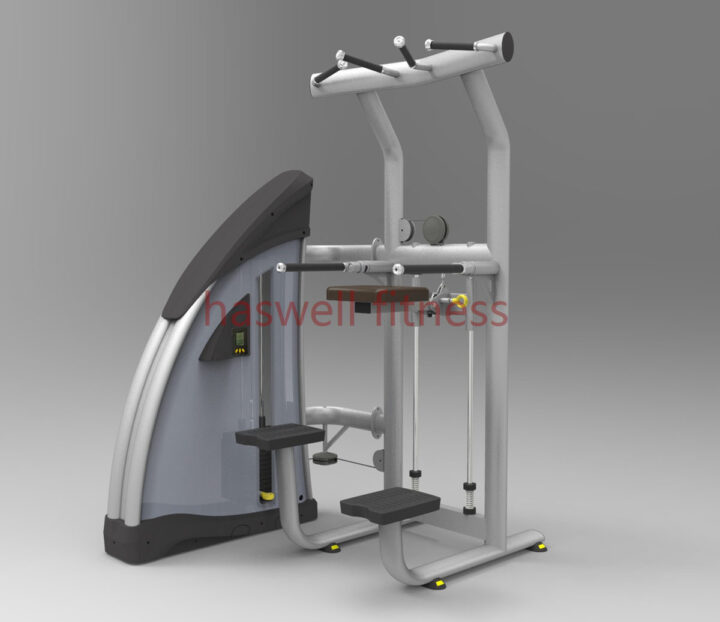 1655076229 mt3111 asslst dip chin haswell commercial gym equipment